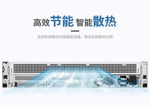 浪潮CS5260H2服務器 搭載海光5380處理器，高性能存儲配置，網絡技術服務方案解析